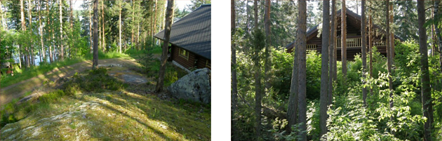 pynnosenloma_k2.jpg